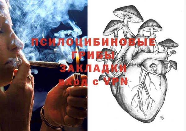 герыч Арсеньев