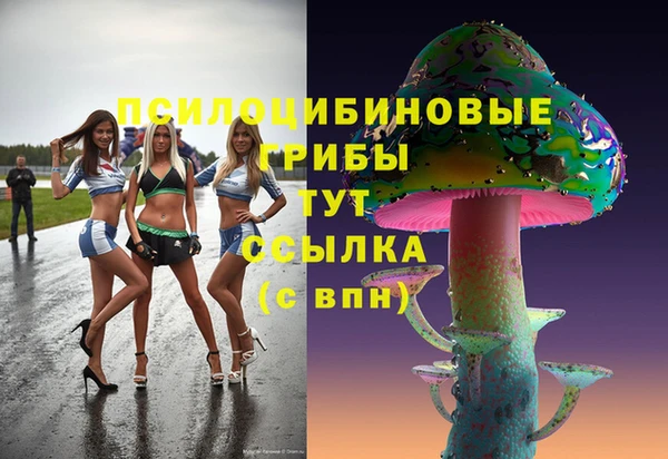 герыч Арсеньев