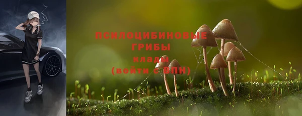герыч Арсеньев