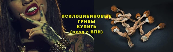 ALPHA PVP Аркадак