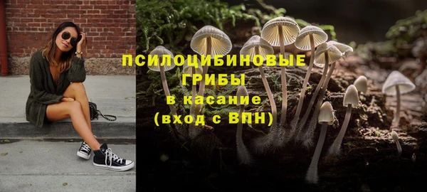 ALPHA PVP Аркадак